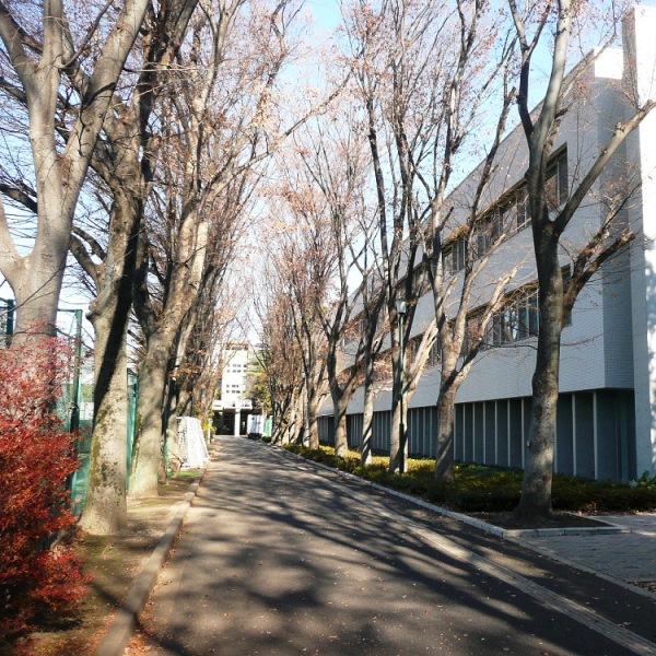 早稲田大学高等学院中学部 偏差値 入試情報 首都圏模試センター