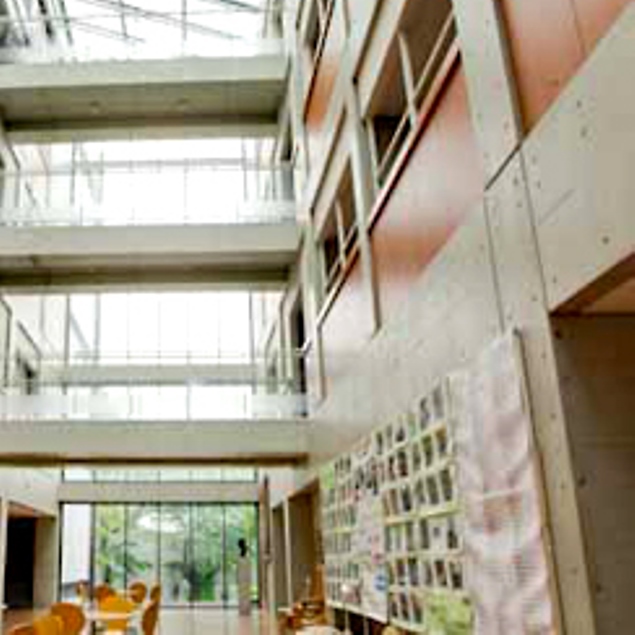 橘学苑中学校 偏差値 入試情報 首都圏模試センター 橘学苑中学校 偏差値 入試情報 首都圏模試センター