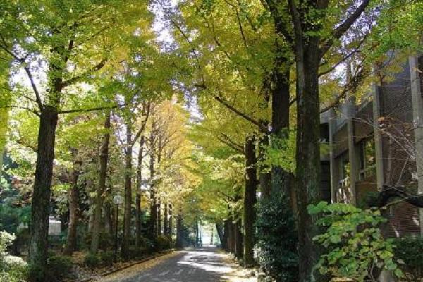 緑豊かなキャンパス緑あふれたキャンパスと澄みきった空気がMJの自慢