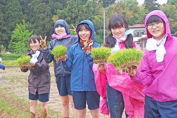 大妻中野中学校_新潟の環境学習(中2)では田植えに挑戦しました。