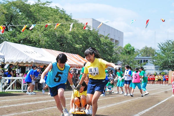 幼稚 相模 女子 部 大学