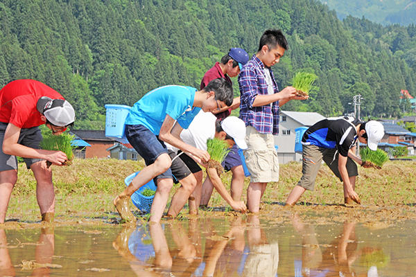 聖学院中学校_今年で３１年目を迎える伝統行事「糸魚川農村体験」