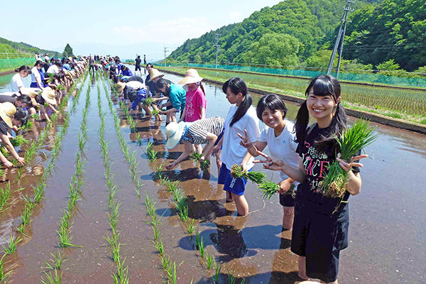 聖徳大学附属女子_北蓼科高原では、田植えも体験！