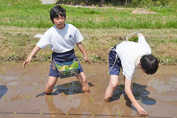 聖徳学園中学校_スプリングキャンプ（農家民泊体験）