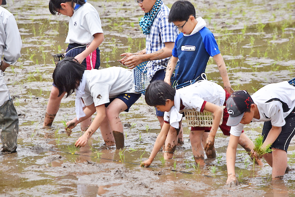 聖徳学園中学校_中１ファームステイ