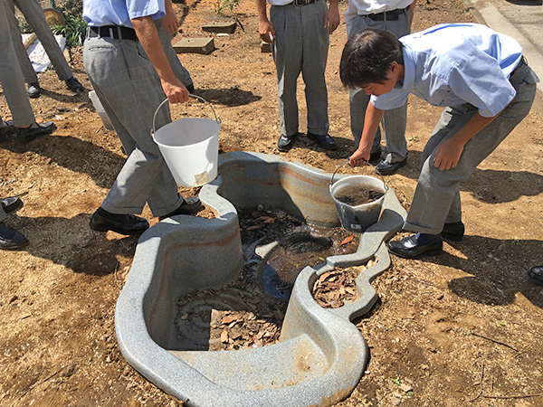 東京電機_いきなり穴を掘って池を作ったものの...