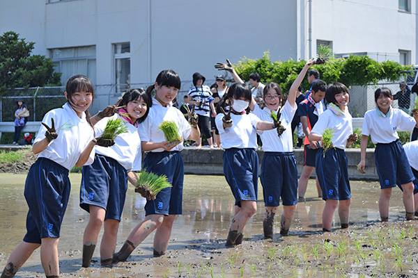 獨協埼玉_稲作体験で「苦手だった虫が怖くなくなった」という声も