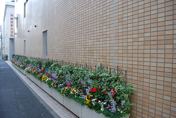 東京家政学院_学校前の花壇。近隣の方々を和ませている