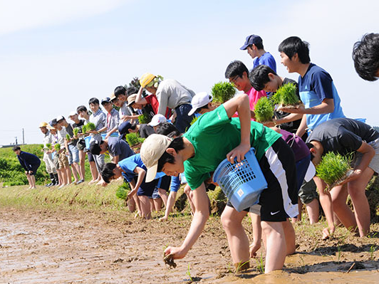 聖学院_｢糸魚川農村体験学習｣(中３)で田植えを体験し､地域課題を考える