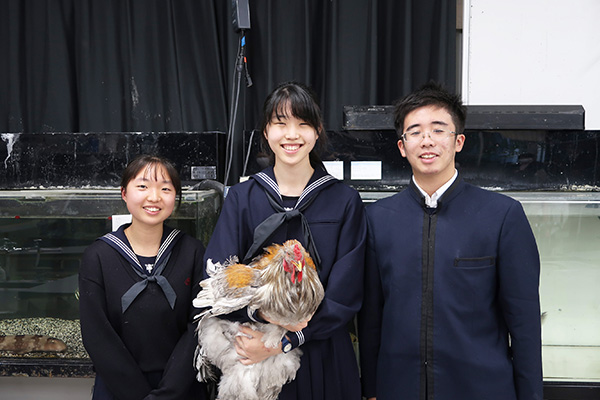 成蹊_世界最大級のニワトリ(ブラマ種)と共に。左から加藤美和さん(高3)、金子さくらさん(高1)、伊藤天生さん(高3)