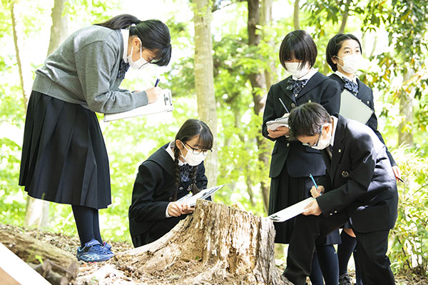 千葉明徳_絶滅危惧種の植物も自生する、「明徳の森」でのフィールドワーク