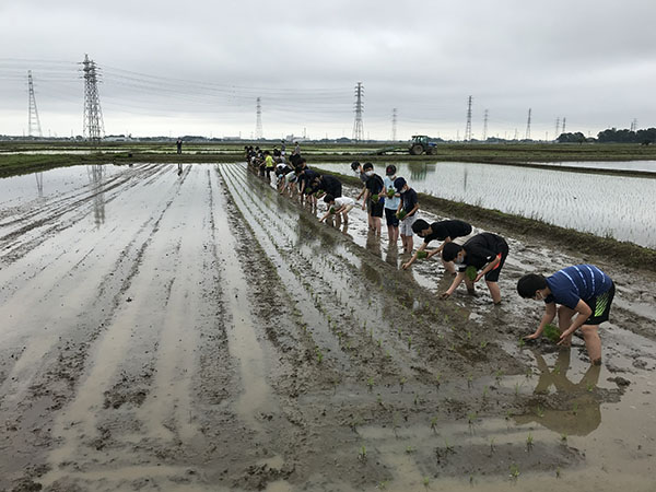 世田谷_感染防止対策を講じて田植えは実施。初めての体験にドキドキ！