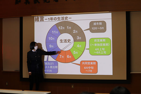 千葉明徳_「課題研究論文発表会」でプレゼンテーションをする生徒