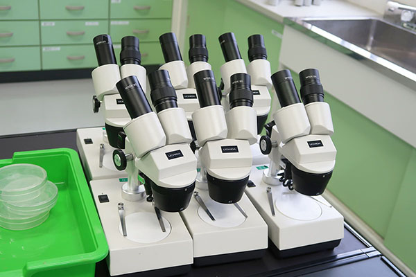 八王子学園_双眼実体顕微鏡と実体顕微鏡は、1人1台ずつ使える