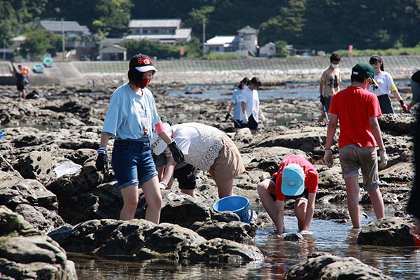 開智日本橋_千葉県鴨川市で行われる「磯のFW」。自分自身の頭で考えることを大切にするので、まずは観察、考察、検証をします