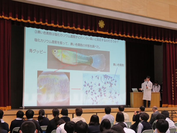 東洋大京北_未来の科学者 研究発表