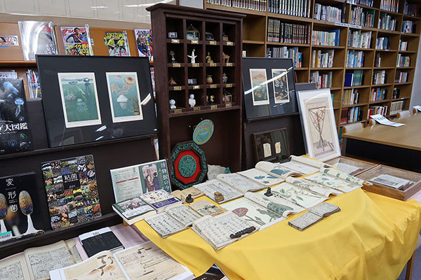 芝浦工大柏_図書館など校内の各所には、先生方の貴重なコレクションが展示されており、生徒たちは本物に気軽に触れられます
