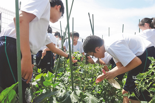 東京都市大学等々力中学校・高等学校2022