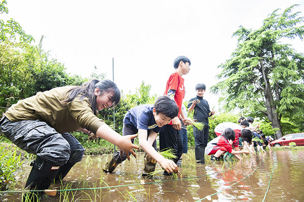 千葉明徳_「土と生命の学習」で田植えをする生徒たち