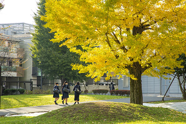 東京家政_大イチョウの下を、友達と歩く生徒たち。大学生の様子を目にすることもあります
