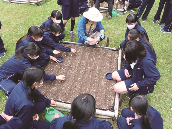 共立女子第二_中１の理科の授業にて。「ポタジェガーデン」でルッコラやレタスの種蒔きをする生徒たち