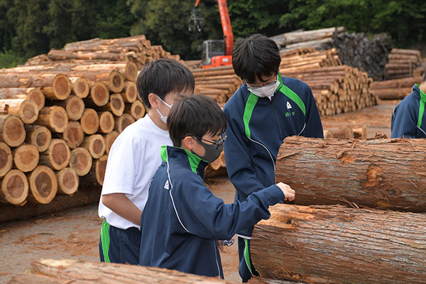 日本学園_生木の感触や香りに興味津々