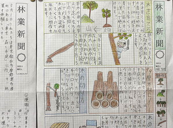 日本学園_林業体験を元に各自で新聞を作って掲示