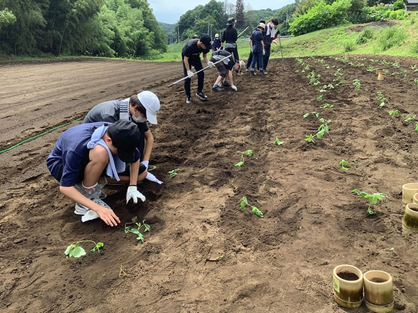 サレジアン国際_探究ゼミでも学校を飛び出して、遠足などが行われます