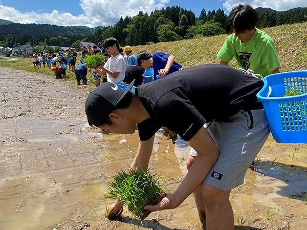 聖学院_糸魚川では農業を営む方々と交流し、田植えも体験！