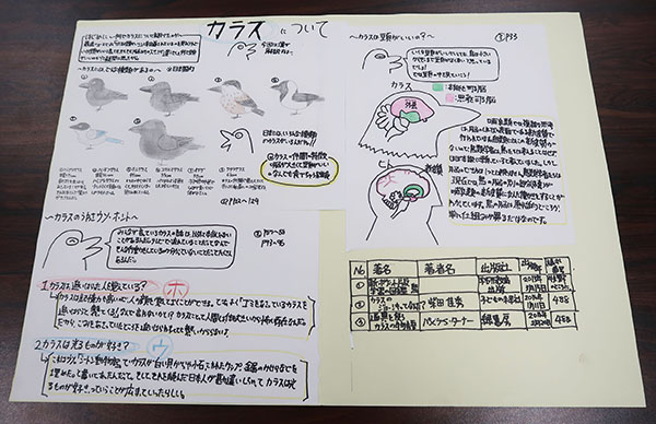 東京電機大_1学期は都会のカラスについて調査