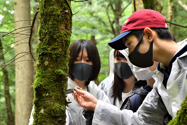 開智日本橋_森のフィールドワーク。注意深く観察する力を培います