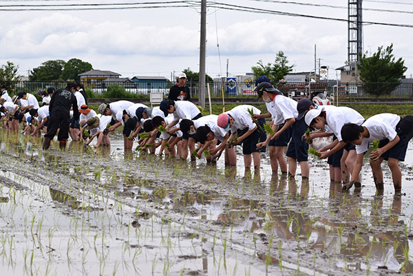 獨協埼玉_田んぼに素足で入るのも、衝撃的な体験の一つ