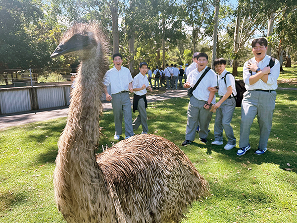 城西大城西_「オーストラリア海外研修」にて。エミューの大きさにビックリ！
